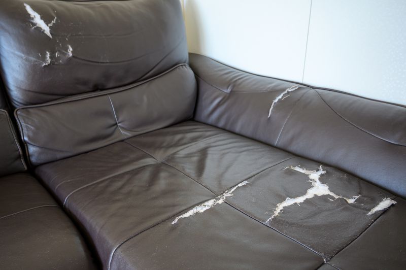 Leather Sofa Repair